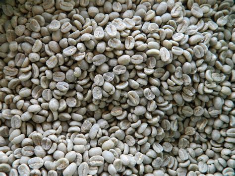 Kenya AA Top Raw Arabica Coffee Beans | Home Roast Coffee