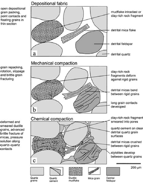 Schematic cartoon illustrating compaction processes in sandstones. (a ...