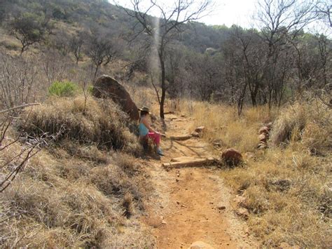 Our first Spring hike at Klipriviersberg Nature reserve – Skimming ...