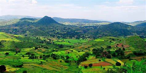 Araku Valley Weather And Best Time To Visit Araku Valley (2024)