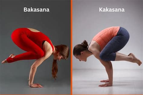 BAKASANA/CRANE POSE: STEPS & ITS 9 REMARKABLE BENEFITS - fitlifewitharchi