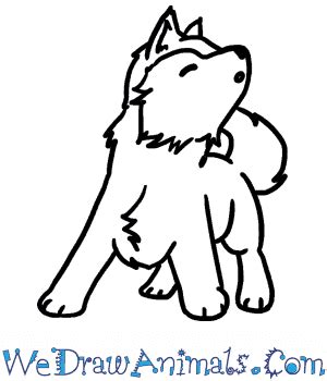 How to Draw a Baby Wolf Howling