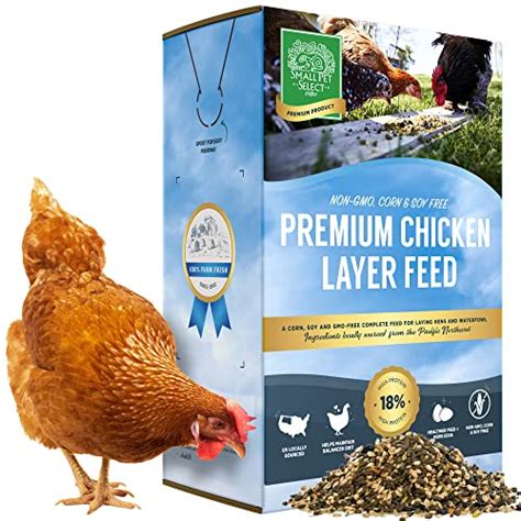 Find the 5 Best Layer Feed for Chickens in 2024 - Grow Chicken