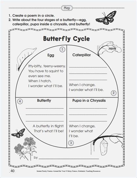 Butterfly Life Cycle Worksheets