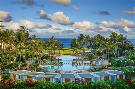 The Ritz-Carlton Kapalua - Martin Aquatic