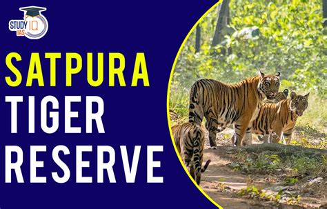 Satpura Tiger Reserve Map, Flora, Fauna, Significance