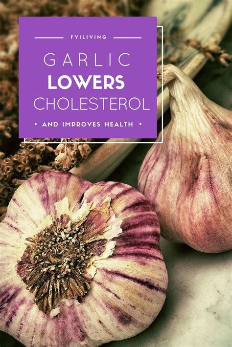 Garlic Lowers Cholesterol And Improves Health