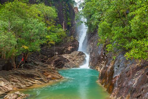 Top Things to Do in Trat, Thailand: Island Hopper's Paradise with Coconut Trees, Cultures, and Deer