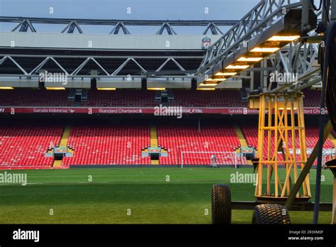 Grow Lights on grass football pitch at Anfield home of Liverpool FC ...