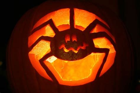 20+ Easy Spider Pumpkin Carving – The Urban Decor