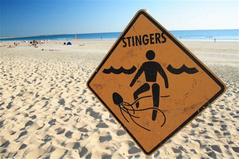 Jellyfish Sting: Symptoms, Treatments, and More - Kirk Pharmacy Cayman Islands