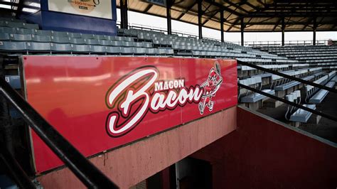 Poll: Should the Macon Bacon change their name? Vote now | Macon Telegraph