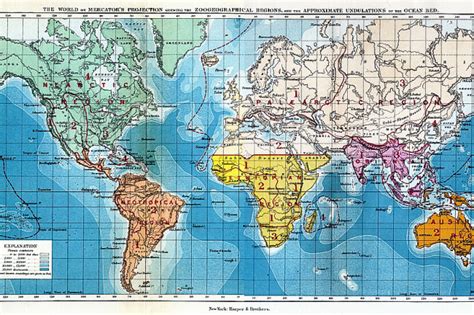 Biogeography Map Updated After 136 Years | Discover Magazine