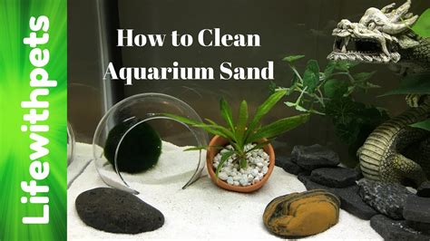 How to Clean Aquarium Sand - YouTube