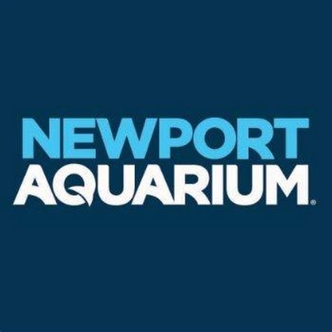 Newport Aquarium - YouTube