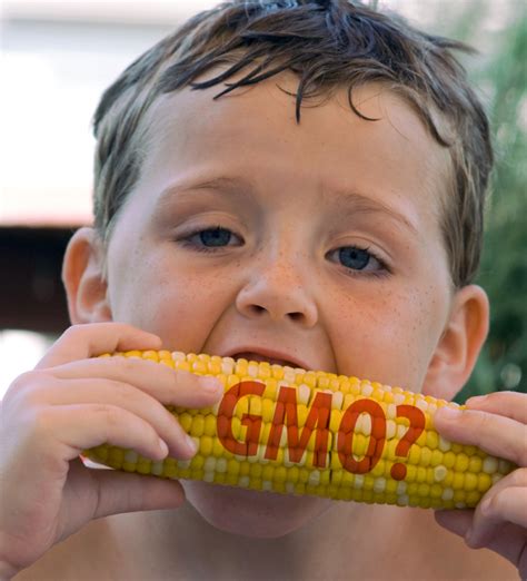 Lawsuit challenges “Bioengineered” GMO food labeling | The Organic & Non-GMO Report