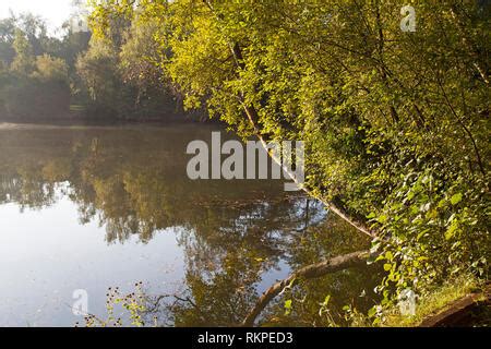 Lake at Swanwick Lakes Hampshire and Isle of Wight Wildlife Trust ...