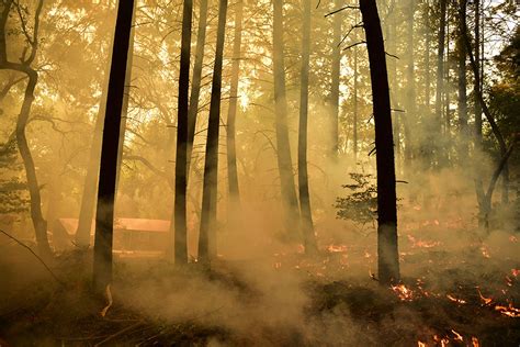 Fire on the Mountain: Balancing the Risks and Rewards of Wildfire Photography | Nikon