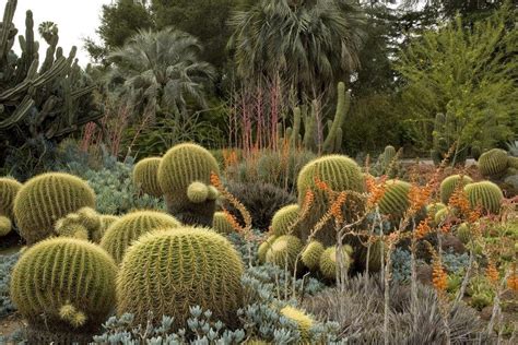 The Huntington Library, Art Collections and Botanical Gardens: Los Angeles Attractions Review ...