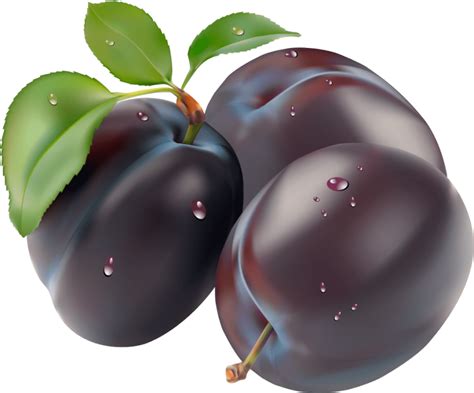 3 plums clipart 10 free Cliparts | Download images on Clipground 2023