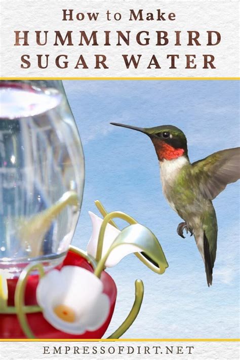 How to Make Hummingbird Food (Sugar Water Recipe)