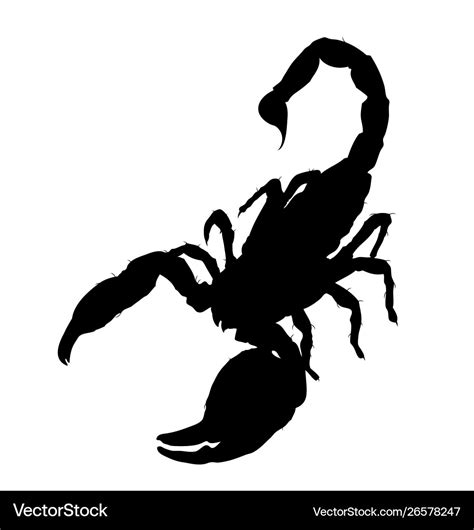 Scorpion silhouette Royalty Free Vector Image - VectorStock