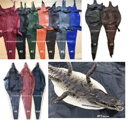 Brown Real Crocodile Skin Real Leather Hide Exotic Pelt taxidermy 37 ...