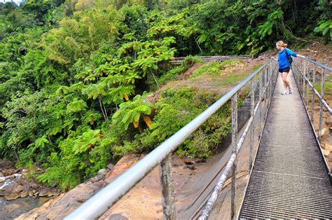 Hiking the Southern Slope of El Yunque National Forest