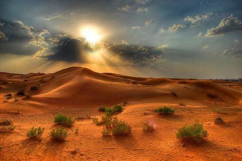 Los colores del sol proyectando sus luces sobre el #Desierto de #Sonora, al norte de ...