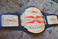 WWE X-Division Championship | WWE The E-Federation Wiki | Fandom