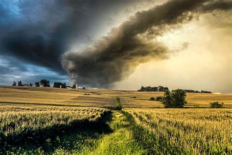 Iowa Cornfield Under Stormy Sky Photograph by Mountain Dreams - Fine ...