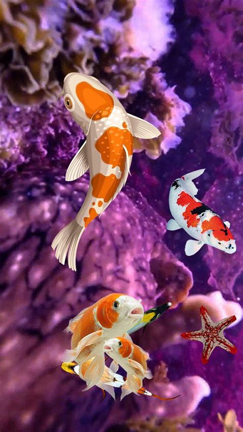 Koi Fish 3D - Water Fish Screensaver 3D for Android, Sea Fish HD phone wallpaper | Pxfuel