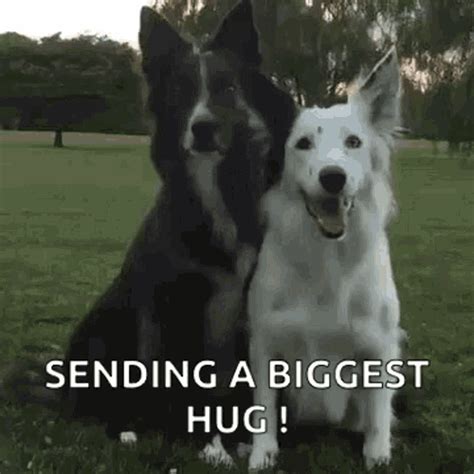 Sending Hugs GIFs | Tenor