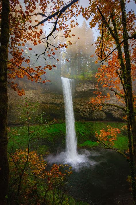 Silver Falls State Park Sublimity Oregon [OC][1328x2000] | Silver falls ...