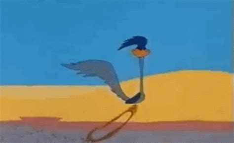 Meepmeep Roadrunner GIF - Meepmeep Roadrunner Meep - Discover & Share GIFs