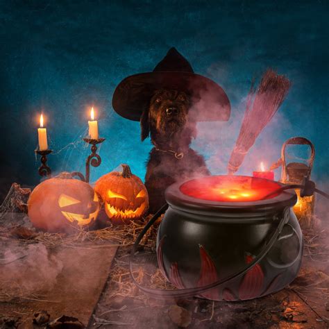 Halloween Witch Cauldron Mist Maker 12 LED Color Changing Fogger Mist ...