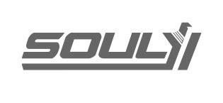 Amazon.com: SOULYI Digital Gun Safe for 3 Pistols Safe DOJ Certified with 3 Quick Access Handgun ...