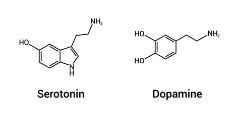 Serotonin Molecule Structure