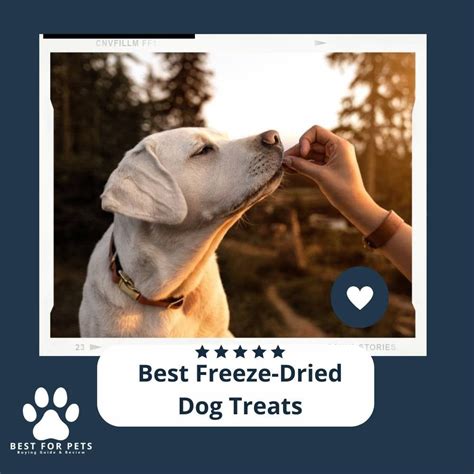 The 11 Best Freeze-Dried Dog Treats - BestForPets.org