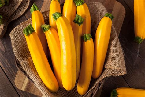 10 Types of Summer Squash and How to Cook With Them | Zucchini plants, Heirloom vegetables ...