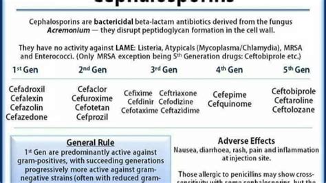 Cephalosporin: structure, classification, clinical use and mode of action