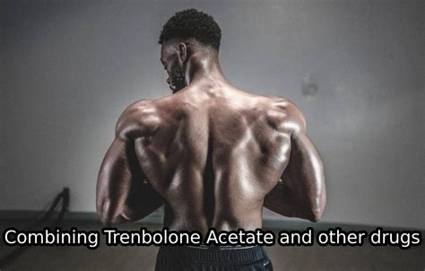 Courses and dosage of Trenbolone Acetate – myenvironmentalhealth.com – Trenbolone Acetate dosage