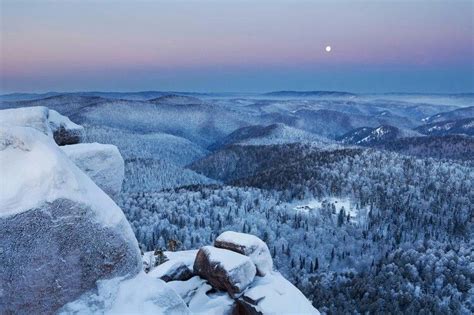 Russian Taiga Forest. | Идеи озеленения, Пейзажи, Фантазия лес