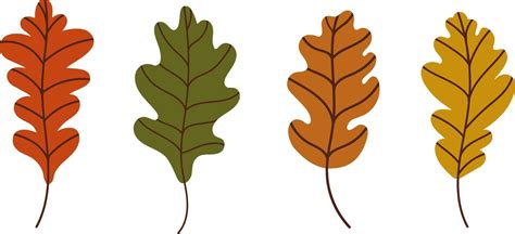 Set of oak leaves 4977993 Vector Art at Vecteezy