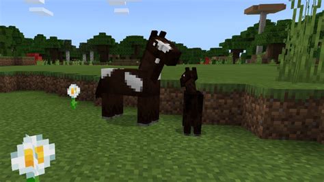 Minecraft horse guide and how to breed and tame them