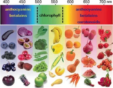 Schematic color spectrum of carotenoids, anthocyanins, betalains and ...