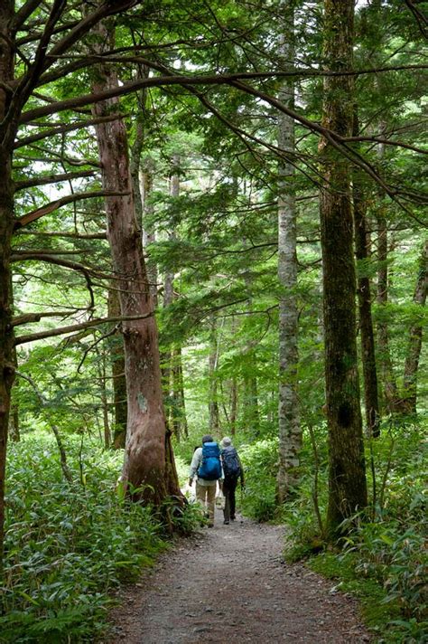 Hiking in Kamikochi - the Complete Guide