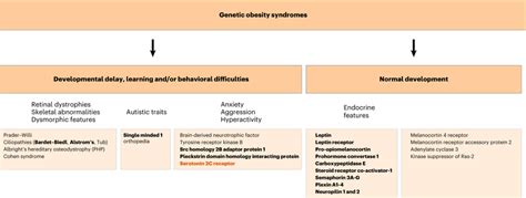 Genetic obesity syndromes A schematic depicting genetic obesity ...