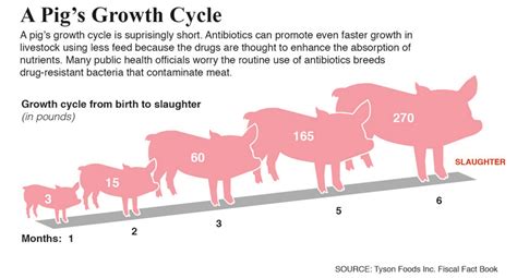 Growth promoting antibiotics for animals - microbewiki