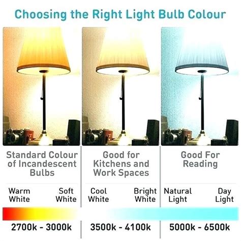 Soft White Vs Cool White Light Bulbs / Which Is Better Daylight Bulbs ...